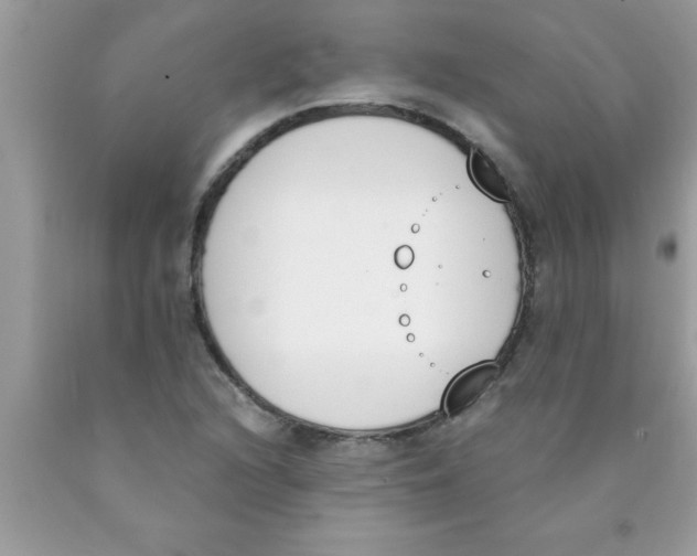 X0000089851216200707262101