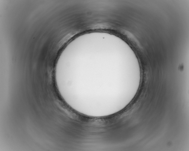 X0000089851217200707262101