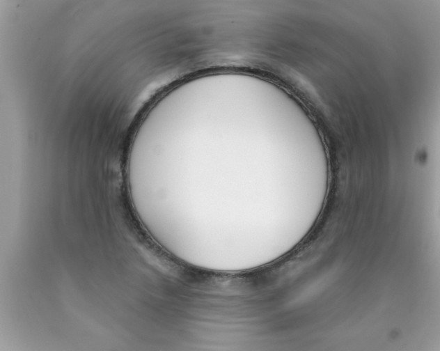 X0000089851218200707262101