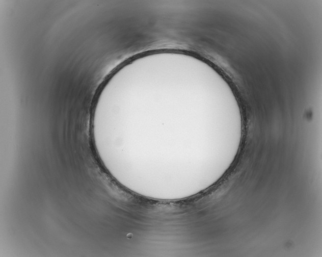 X0000089851220200707262101