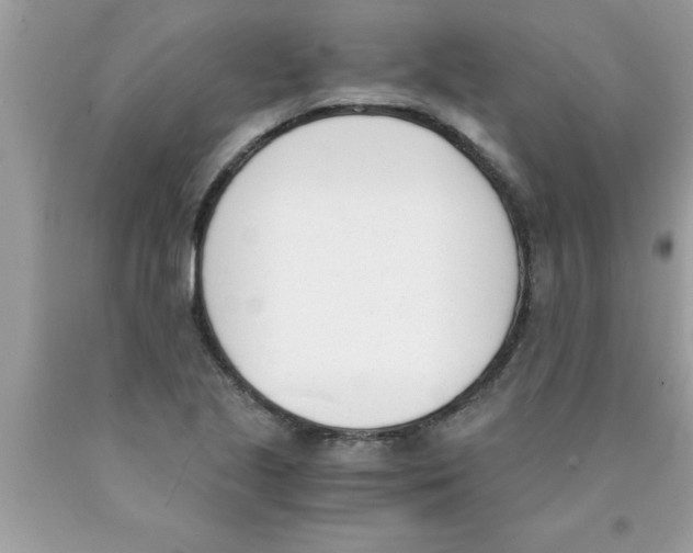 X0000089851221200707262101