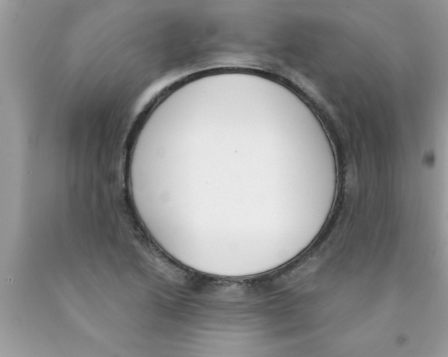 X0000089851222200707262101