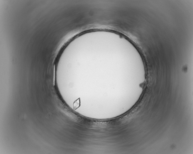 X0000089851223200707262101