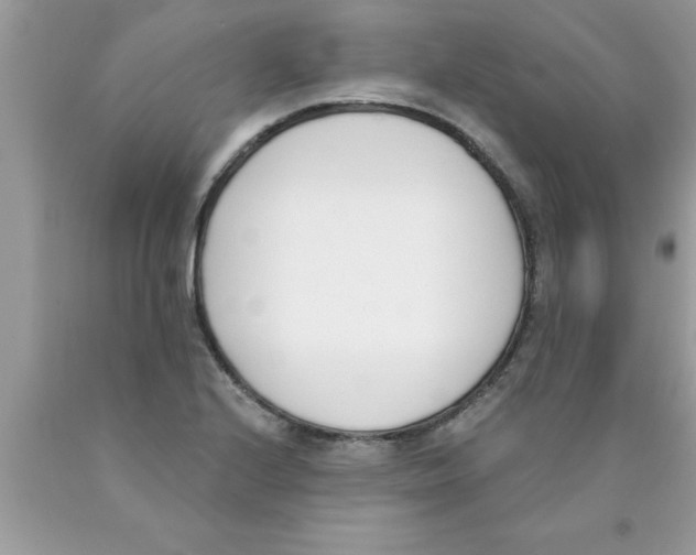 X0000089851224200707262101