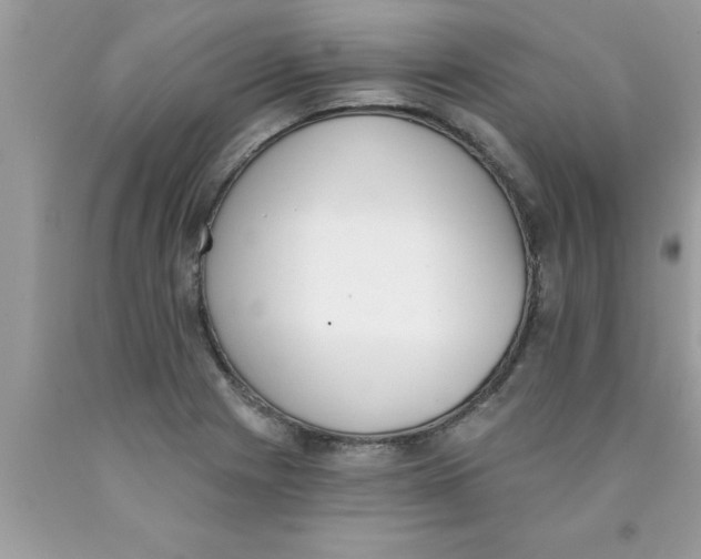 X0000089851225200707262101