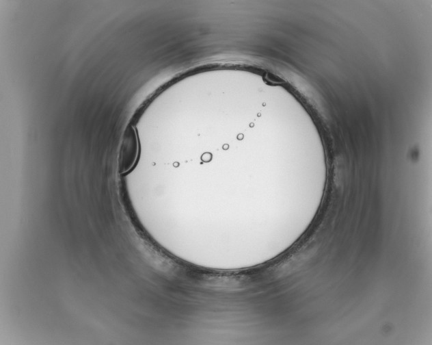 X0000089851229200707262101