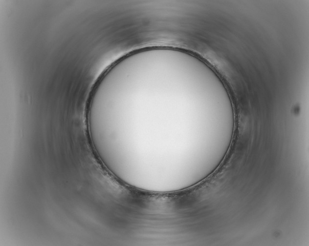 X0000089851230200707262101