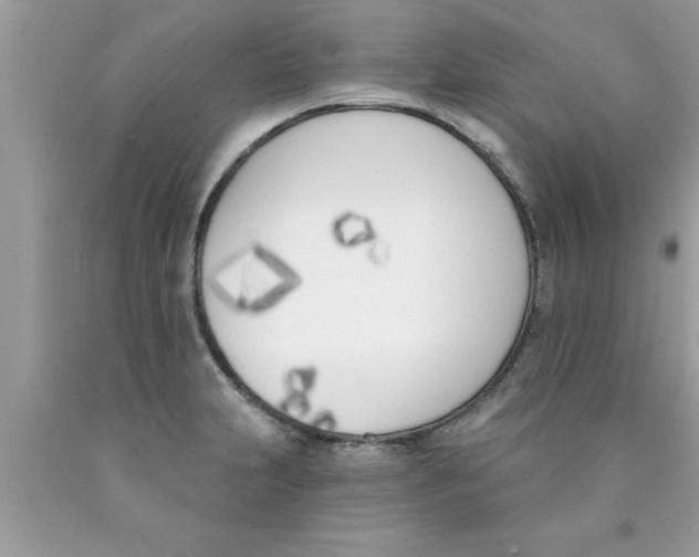 X0000089851231200707262101