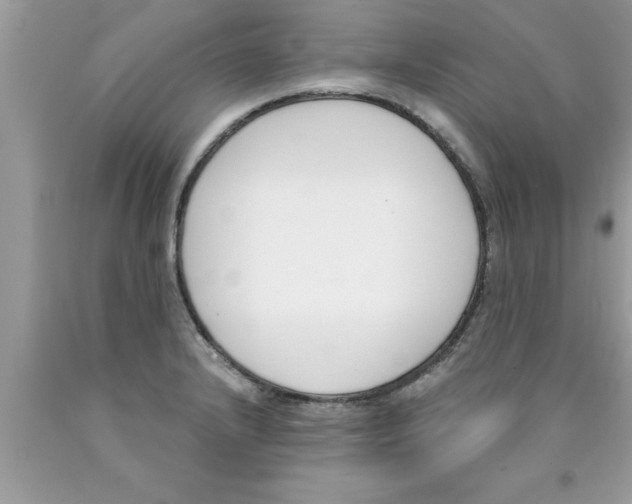 X0000089851232200707262101