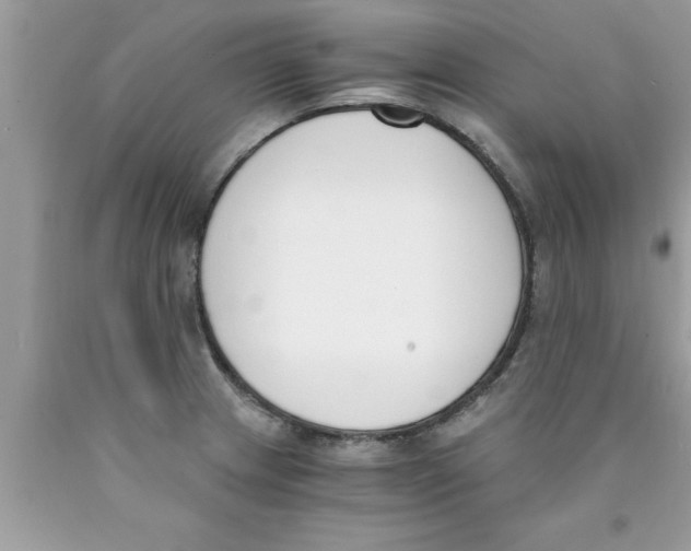 X0000089851233200707262101