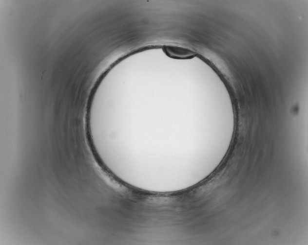 X0000089851237200707262101