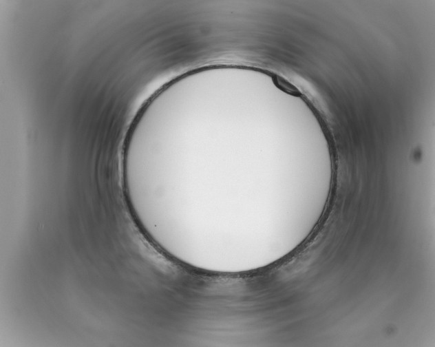 X0000089851238200707262101