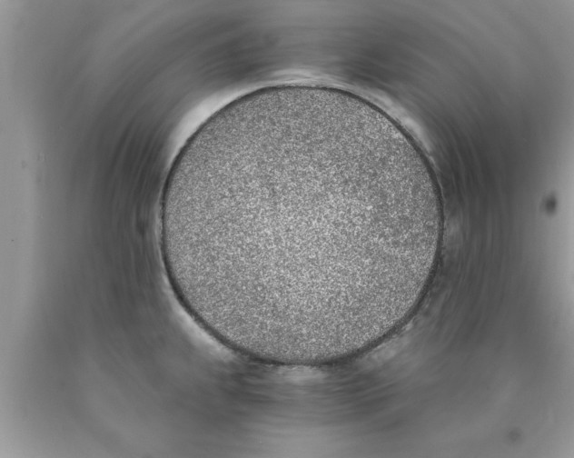 X0000089851239200707262101