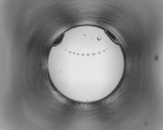 X0000089851241200707262101