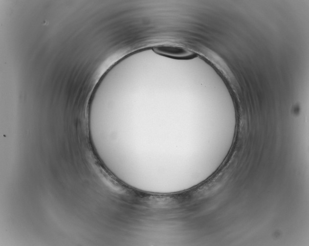 X0000089851242200707262101