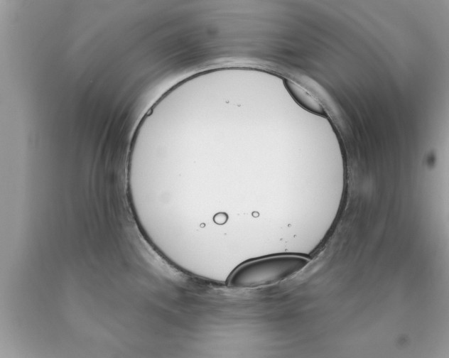 X0000089851244200707262101