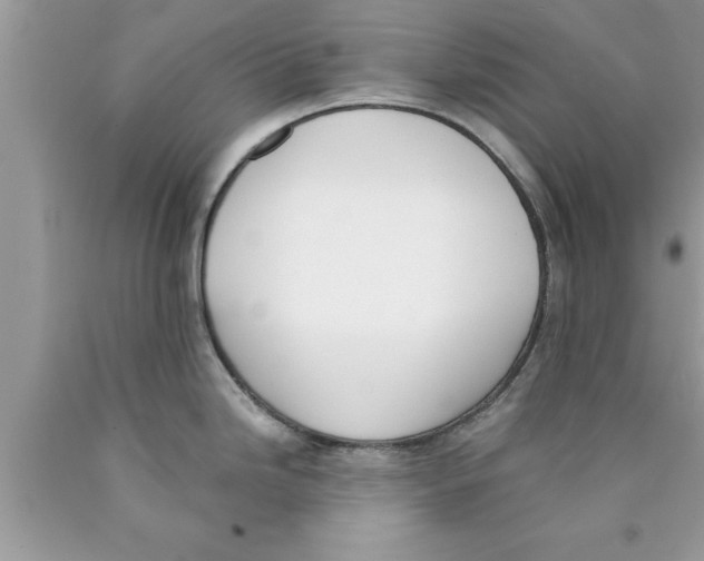 X0000089851246200707262101