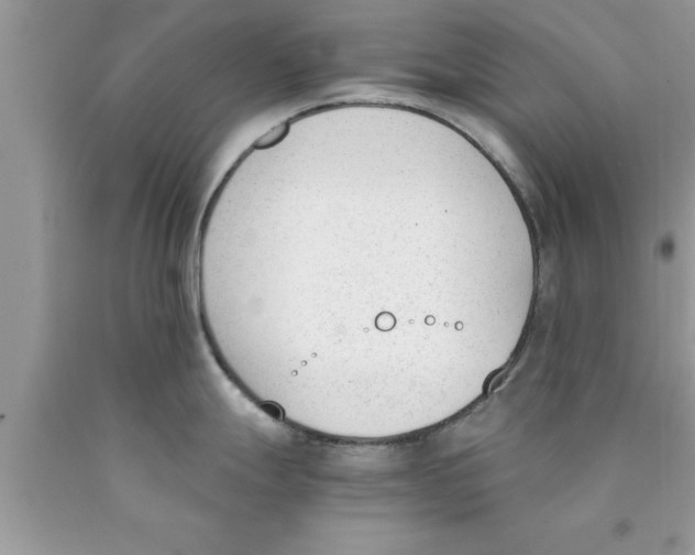 X0000089851247200707262101