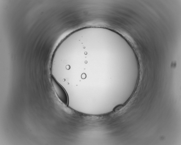 X0000089851248200707262101