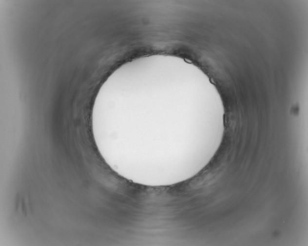 X0000089851249200707262100