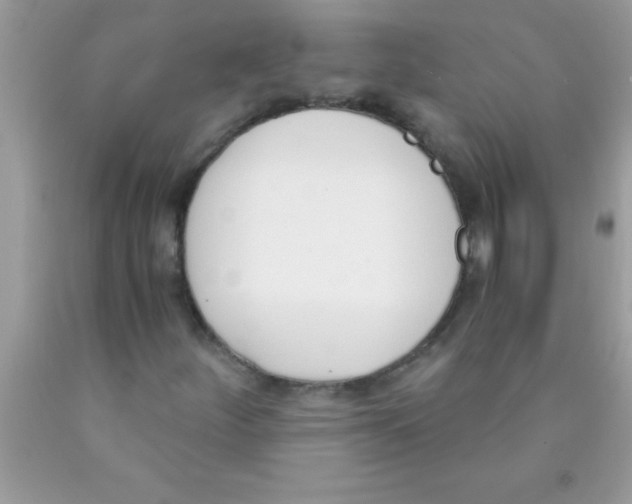 X0000089851252200707262100