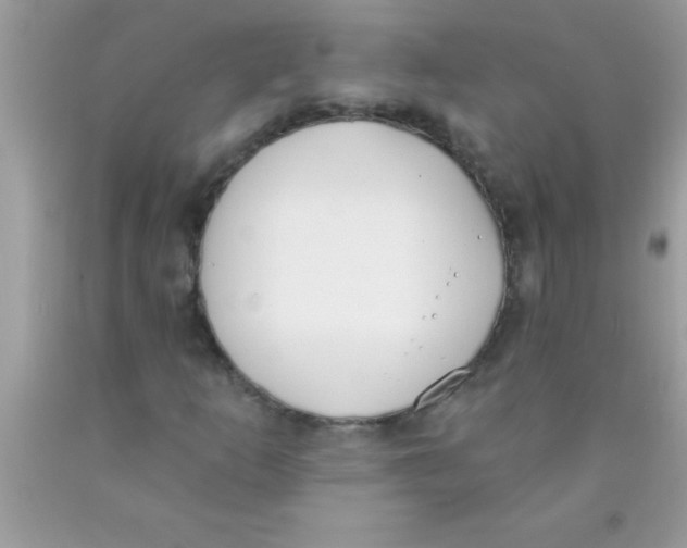 X0000089851253200707262100