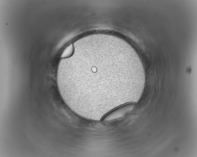 X0000089851255200707262100