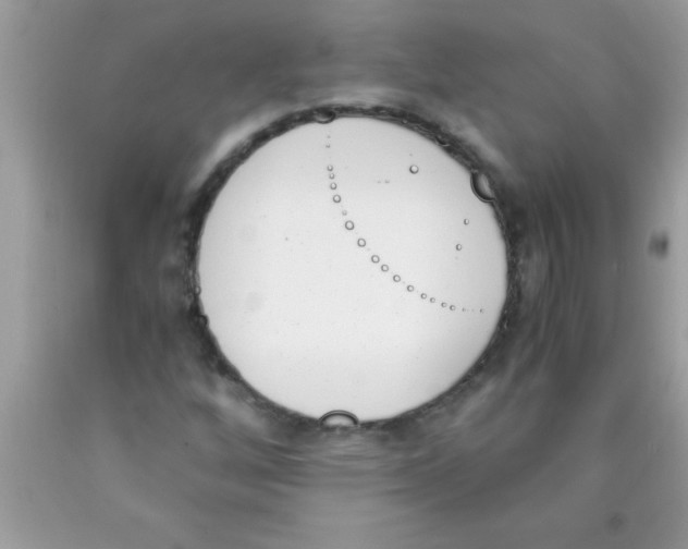 X0000089851256200707262100