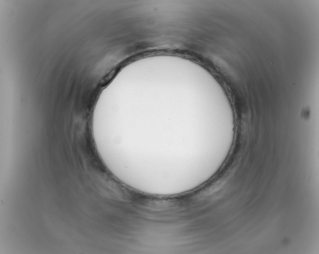 X0000089851257200707262100