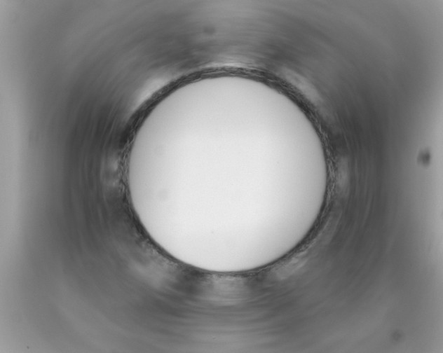 X0000089851258200707262100