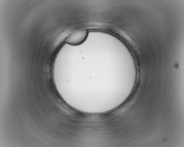 X0000089851259200707262100