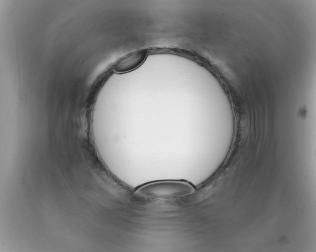 X0000089851262200707262100