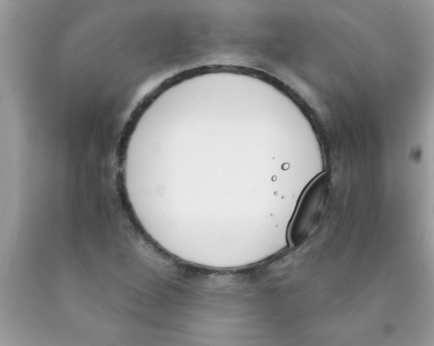 X0000089851264200707262100