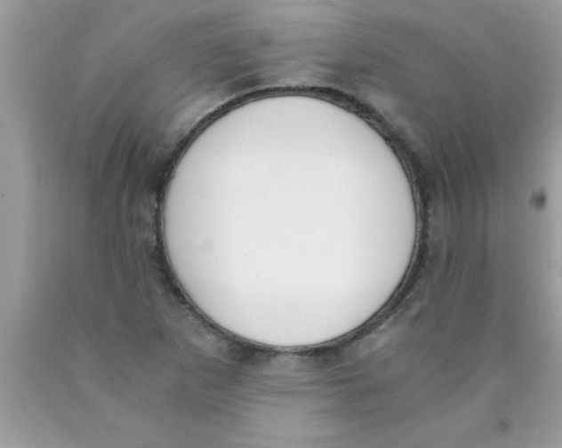 X0000089851265200707262100