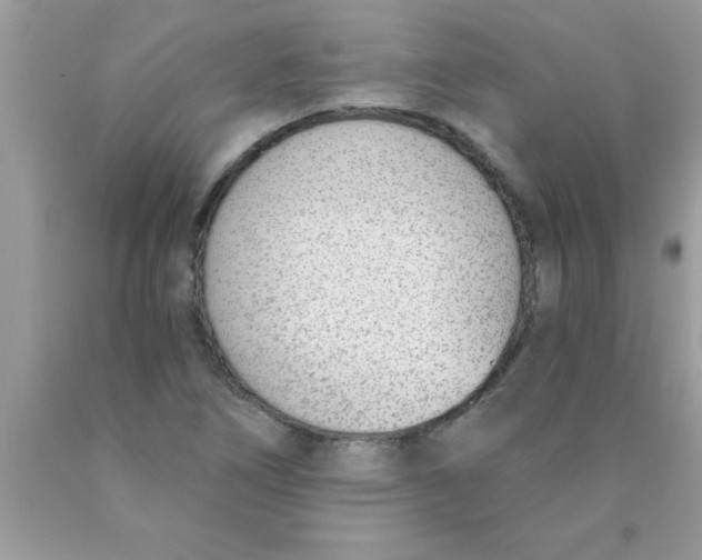 X0000089851266200707262100