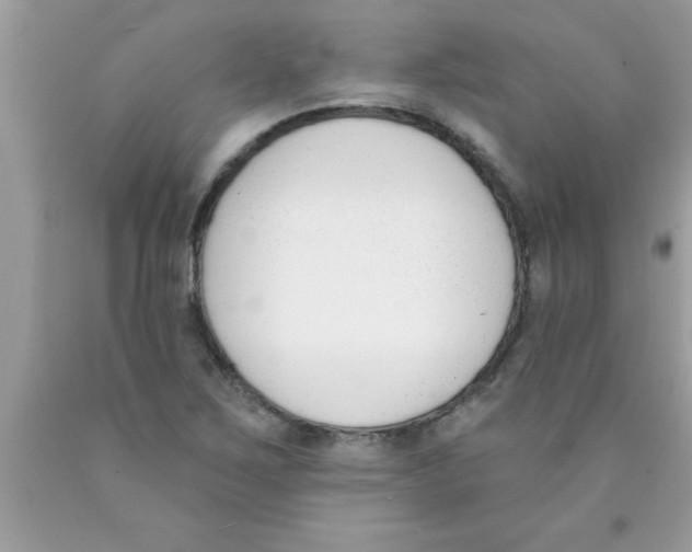 X0000089851267200707262100