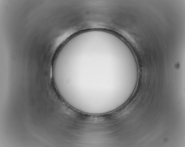 X0000089851269200707262100