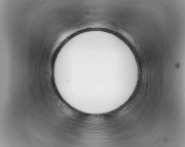 X0000089851270200707262100