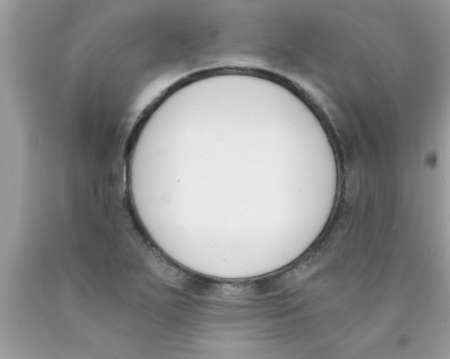 X0000089851271200707262100