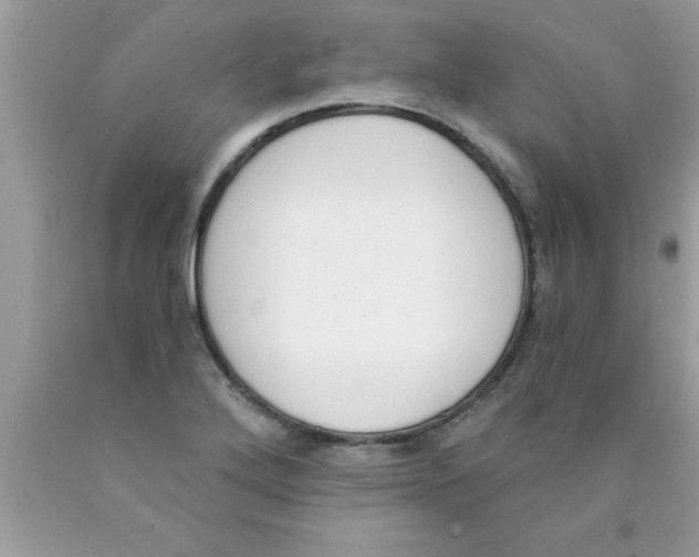 X0000089851272200707262100