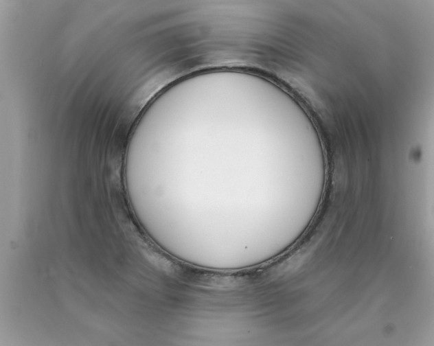 X0000089851273200707262100