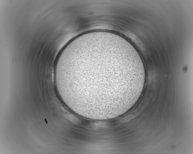 X0000089851274200707262100