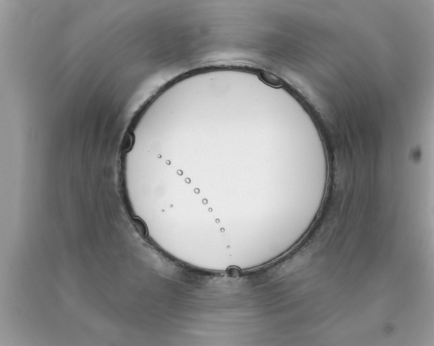 X0000089851277200707262100