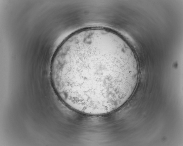 X0000089851279200707262100