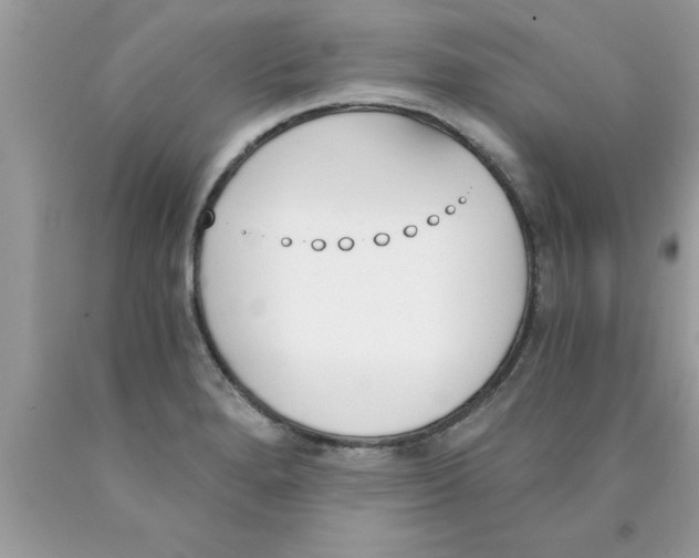 X0000089851280200707262100