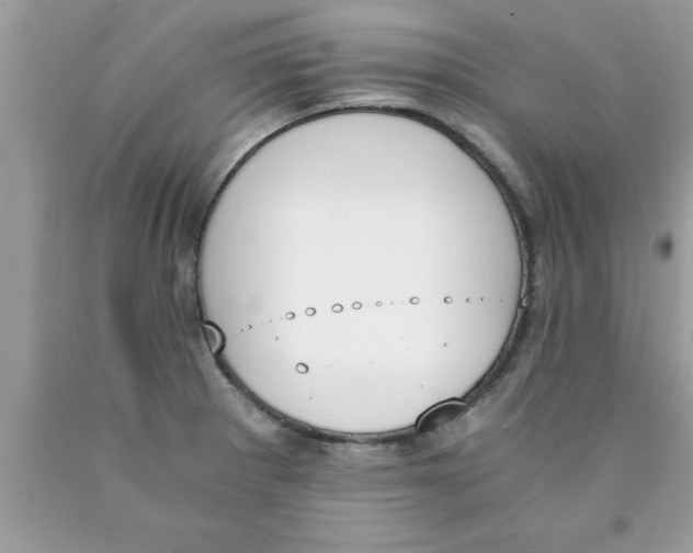 X0000089851281200707262100