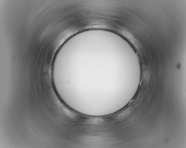 X0000089851282200707262100