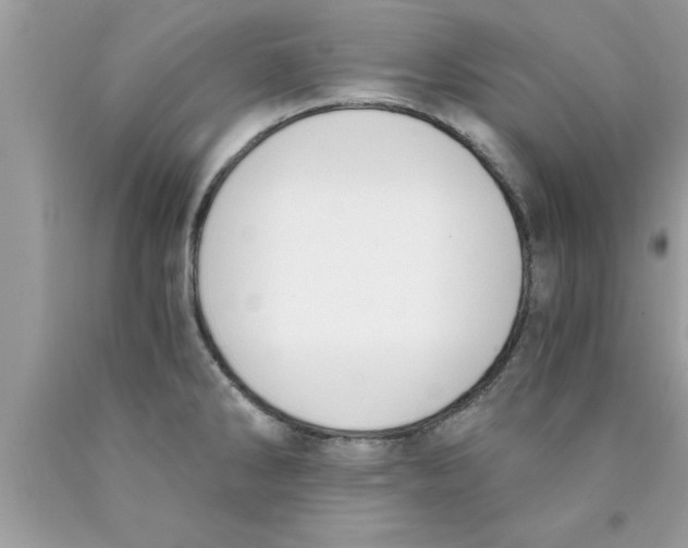 X0000089851286200707262100