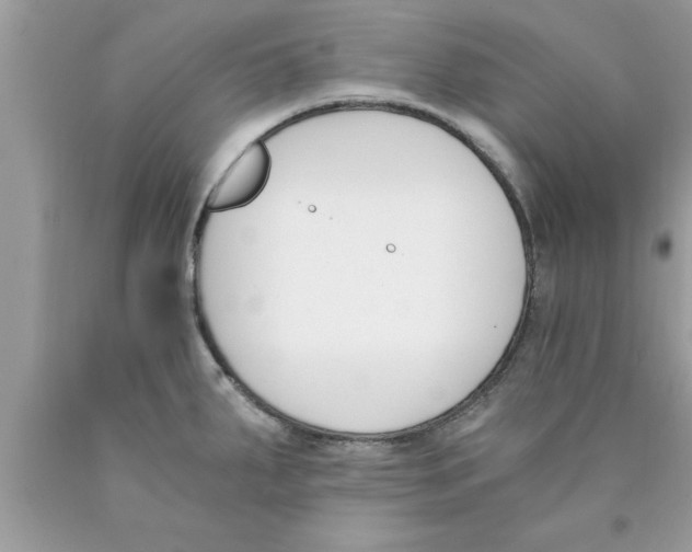 X0000089851287200707262100