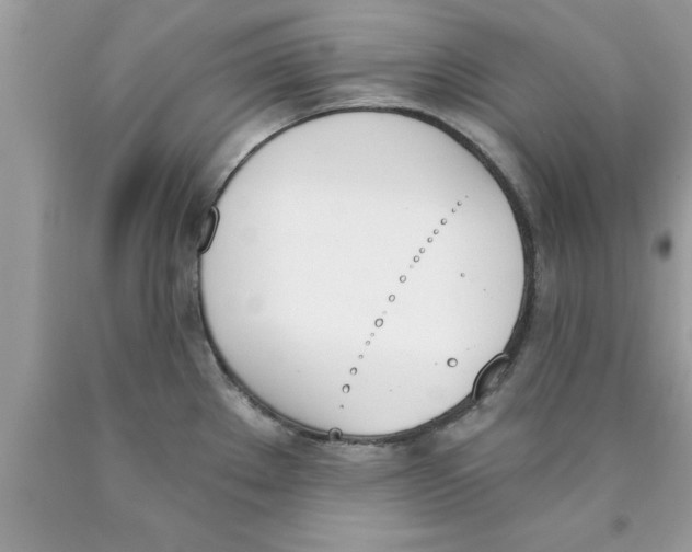 X0000089851289200707262100